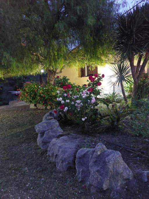 Oasi Del Sole - Segesta Villa Calatafimi Kültér fotó